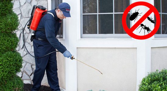Mengen Kemirgen İlaçlama böcek ilaçlama ve haşere kontrolü — ilaclama-tr.com